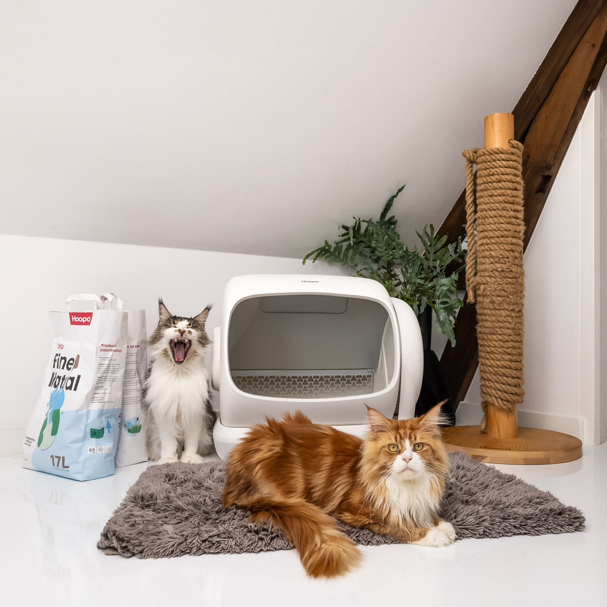 De kattenbak die zichzelf verzorgt