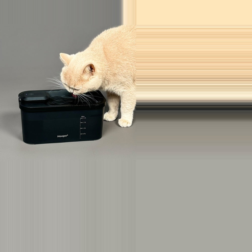 Is that running water I hear?