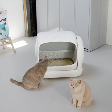 De automatische kattenbak die al het werk doet voor jou: Magna XXL!