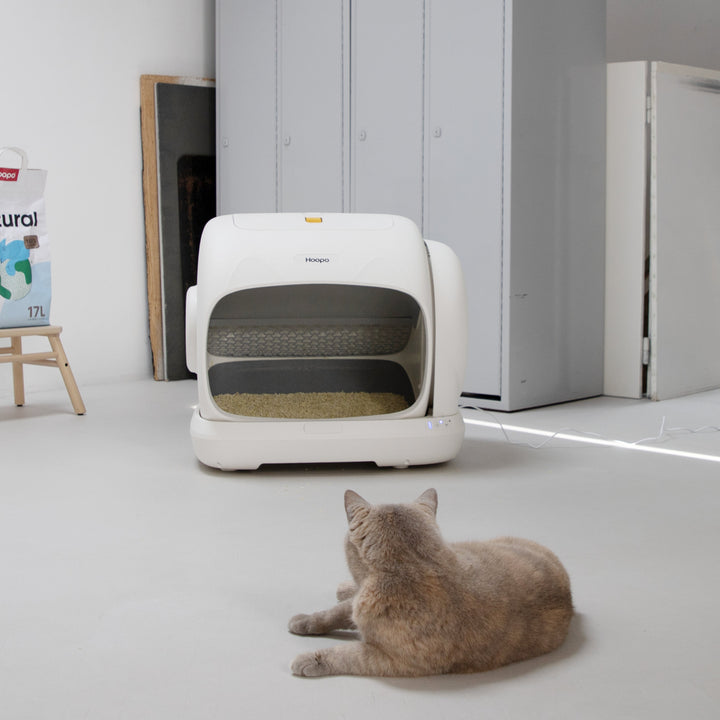 Zó haal je alle gemak uit automatische kattenbak Magna