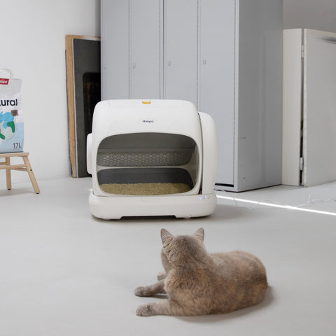 Zó haal je alle gemak uit automatische kattenbak Magna
