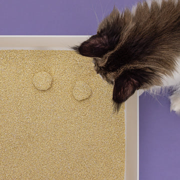 7 redenen om Tofu Fine Kattenbakvulling te gebruiken