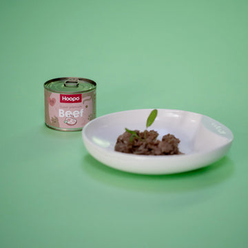 Dit wil je weten over de eetgewoontes  van je kat