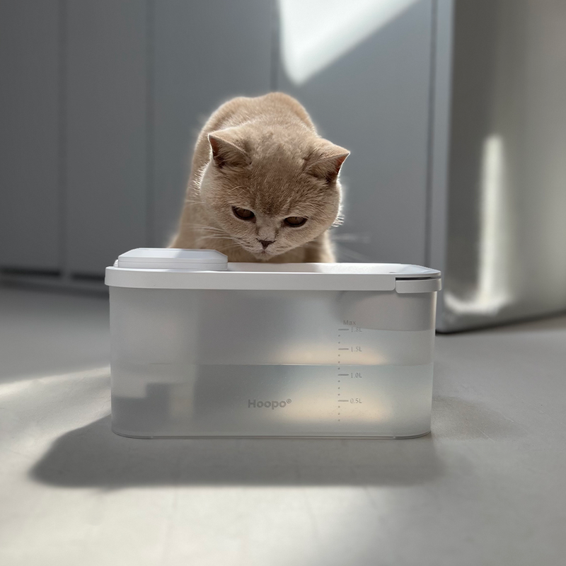 Hoopo® Hydr Cat Water Fountain