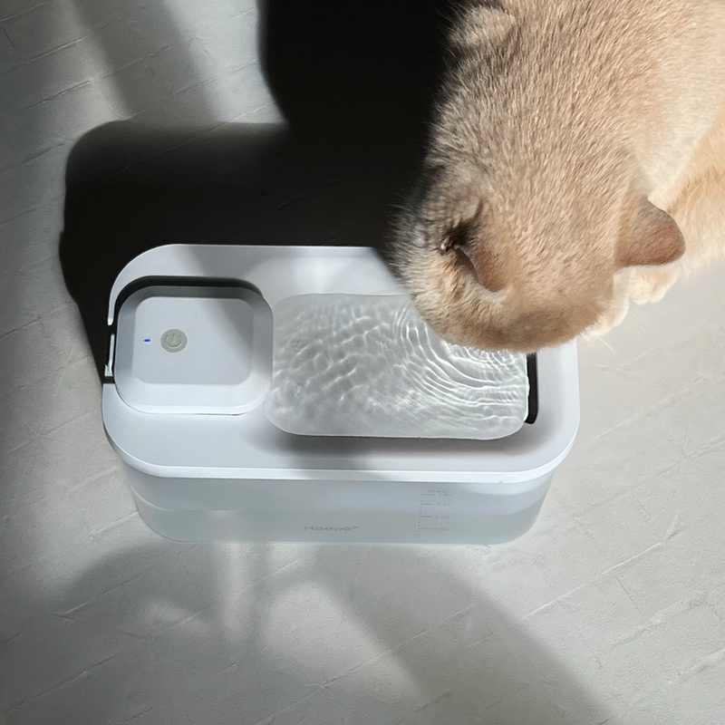 Hoopo® Hydr Cat Water Fountain