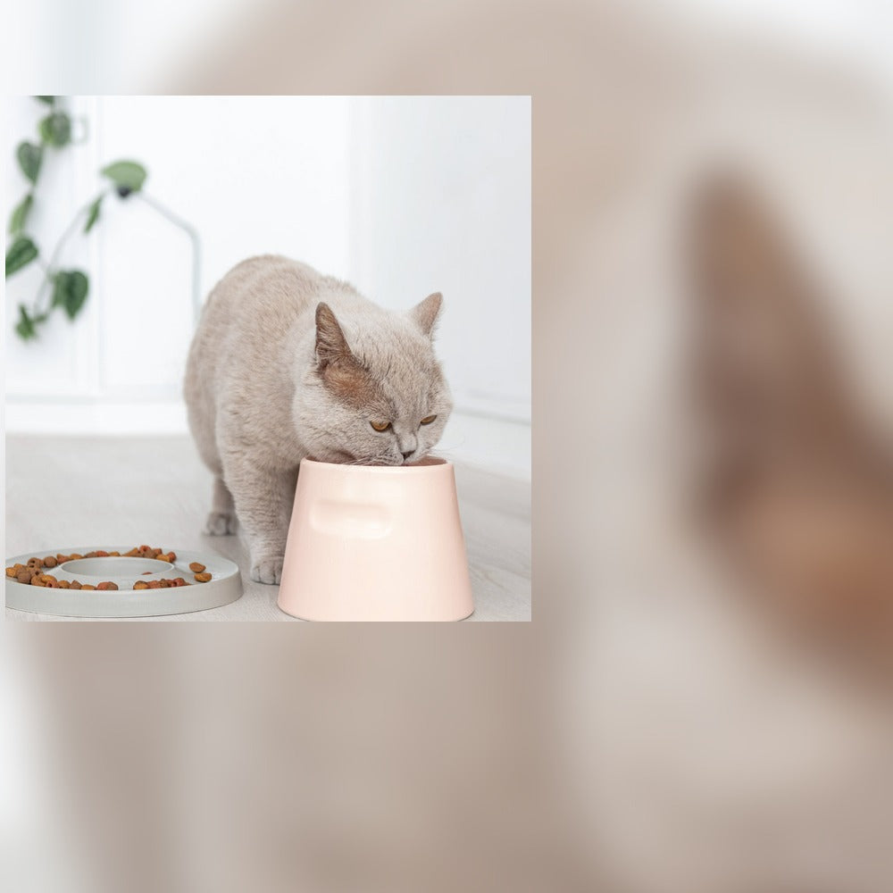 Finally a food bowl I really love!