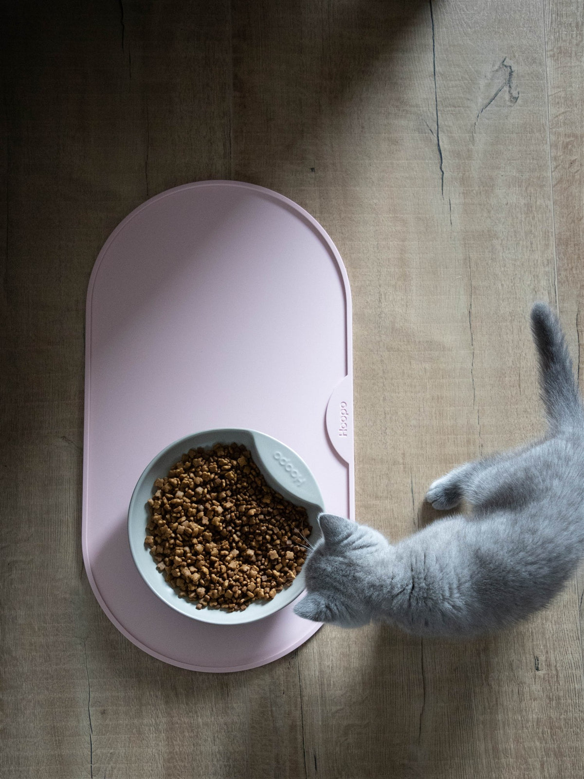 @cattery_merenga