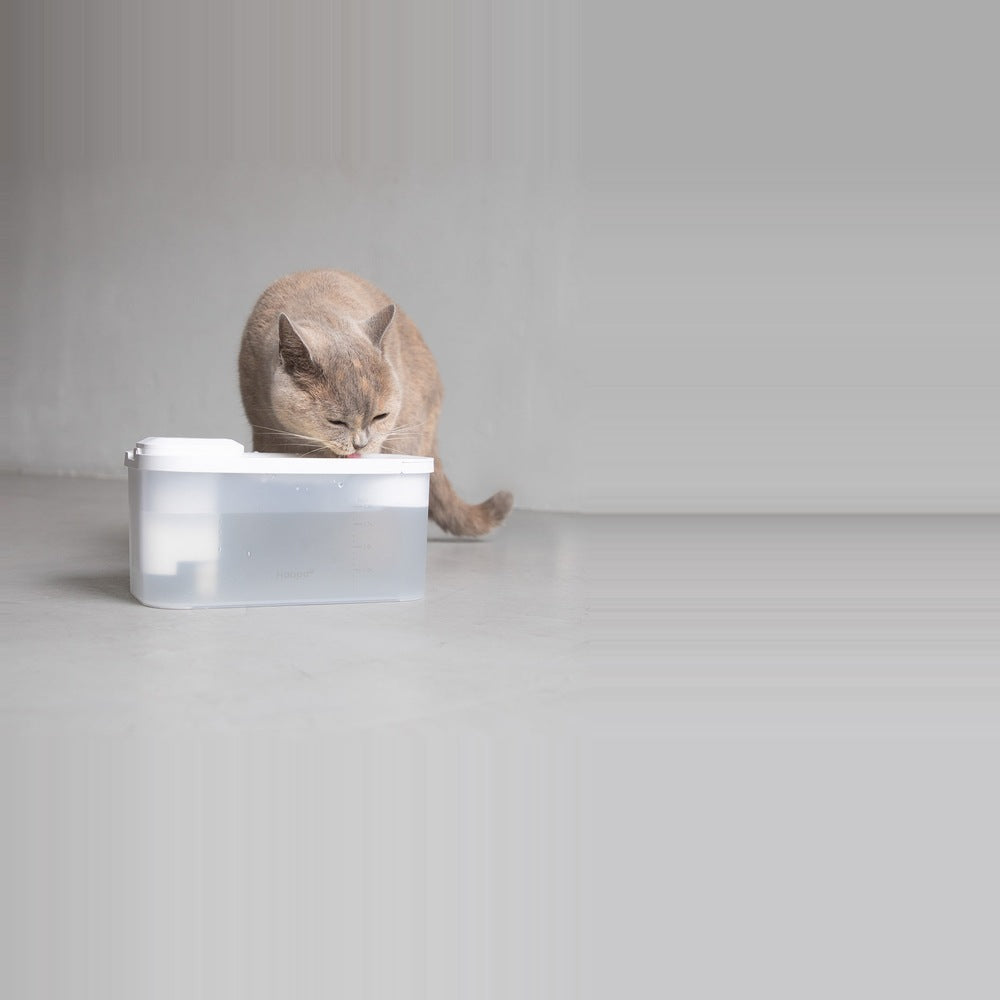 Is that running water I hear?