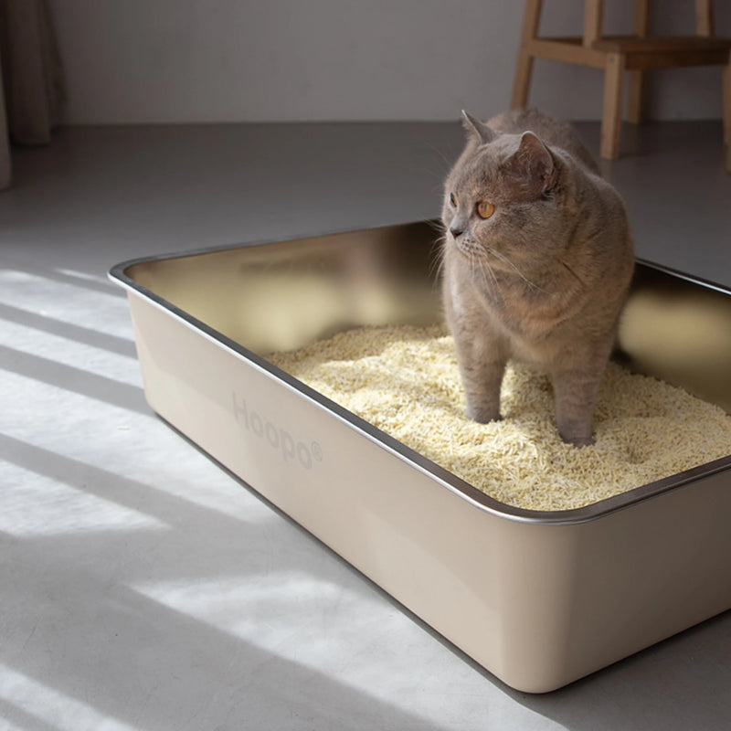 Hoopo® Pool XXL Katzentoilette – Hoopo B.V