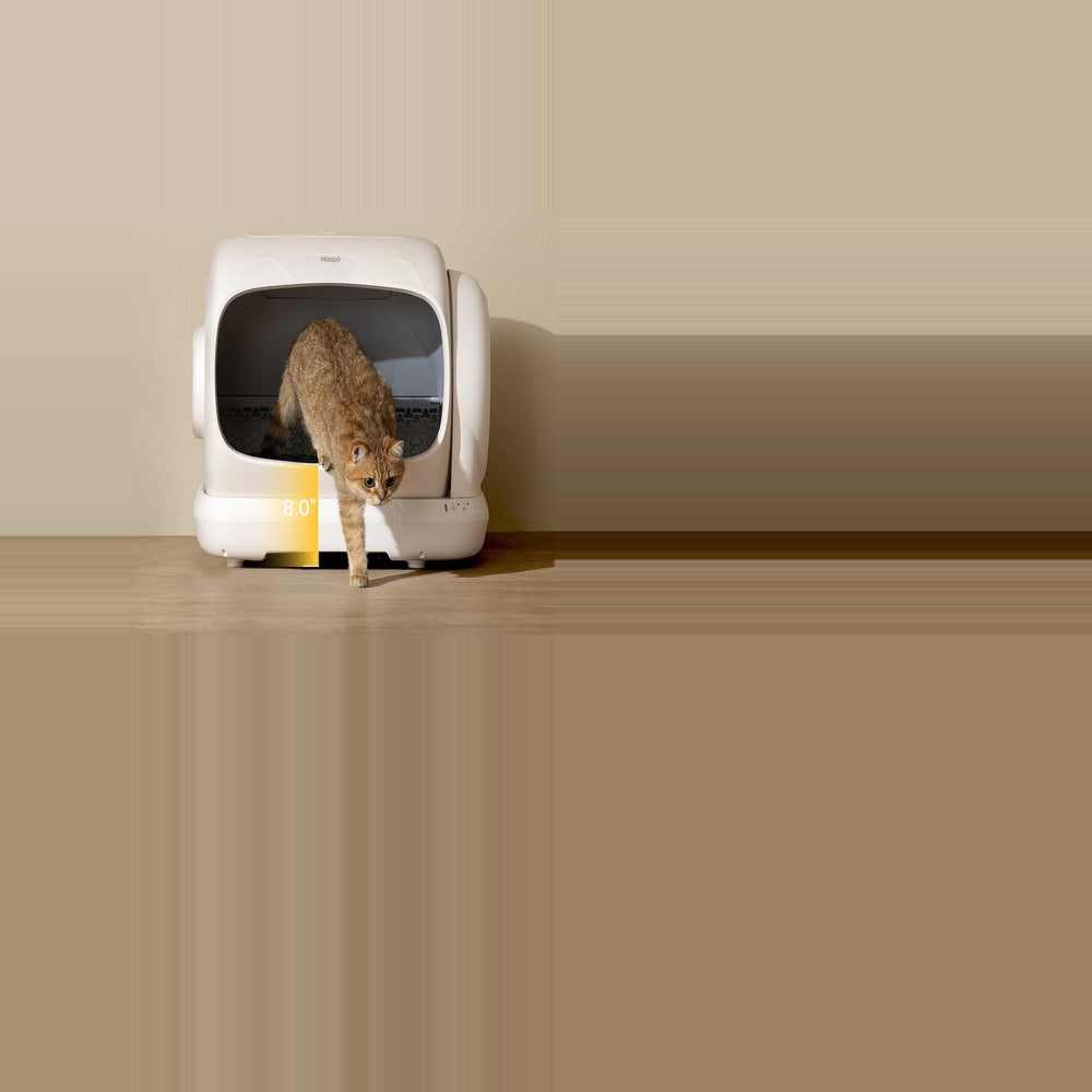 Nooit meer scheppen én meer met mij knuffelen.