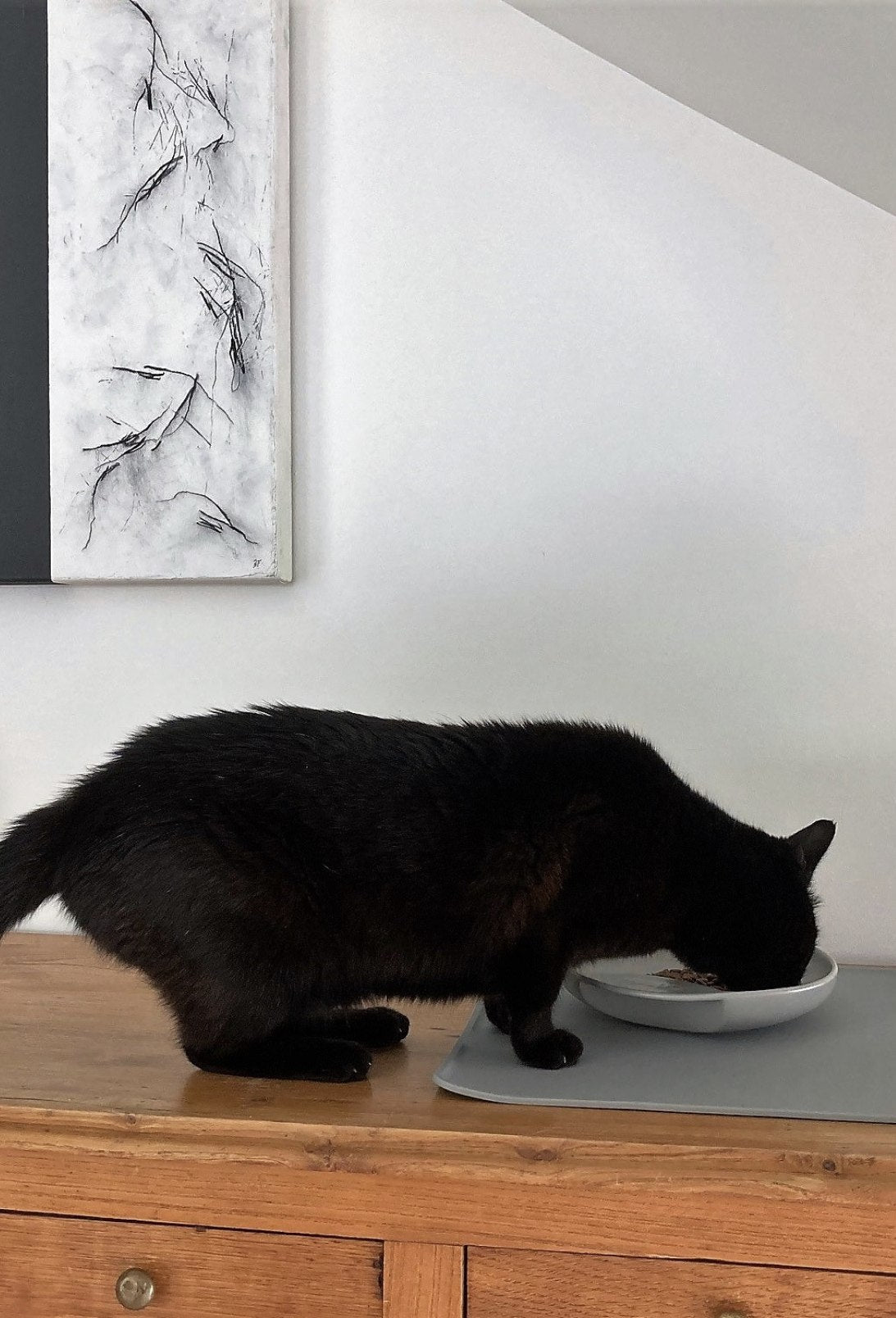 @purrfect_design