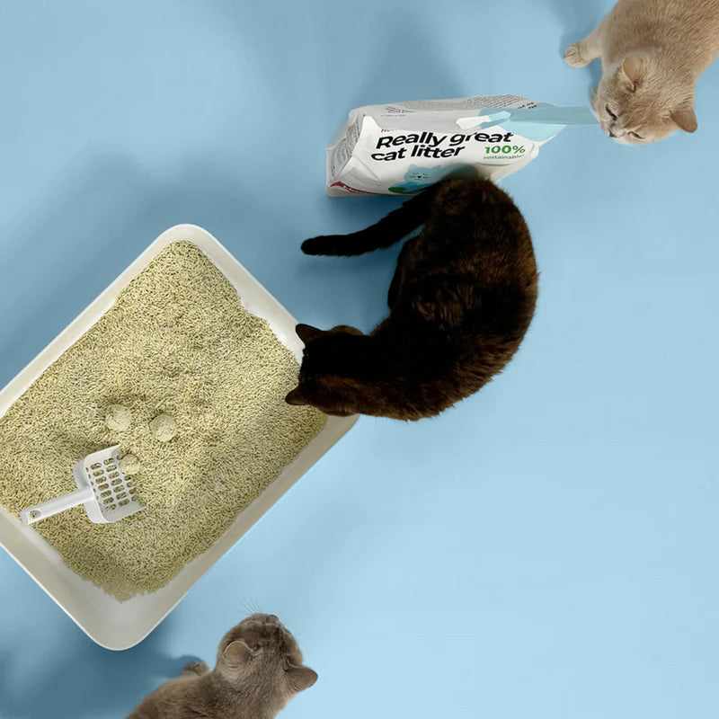 Natürliches Tofu-Katzenstreu – Hoopo B.V