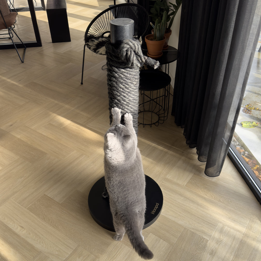 Totem