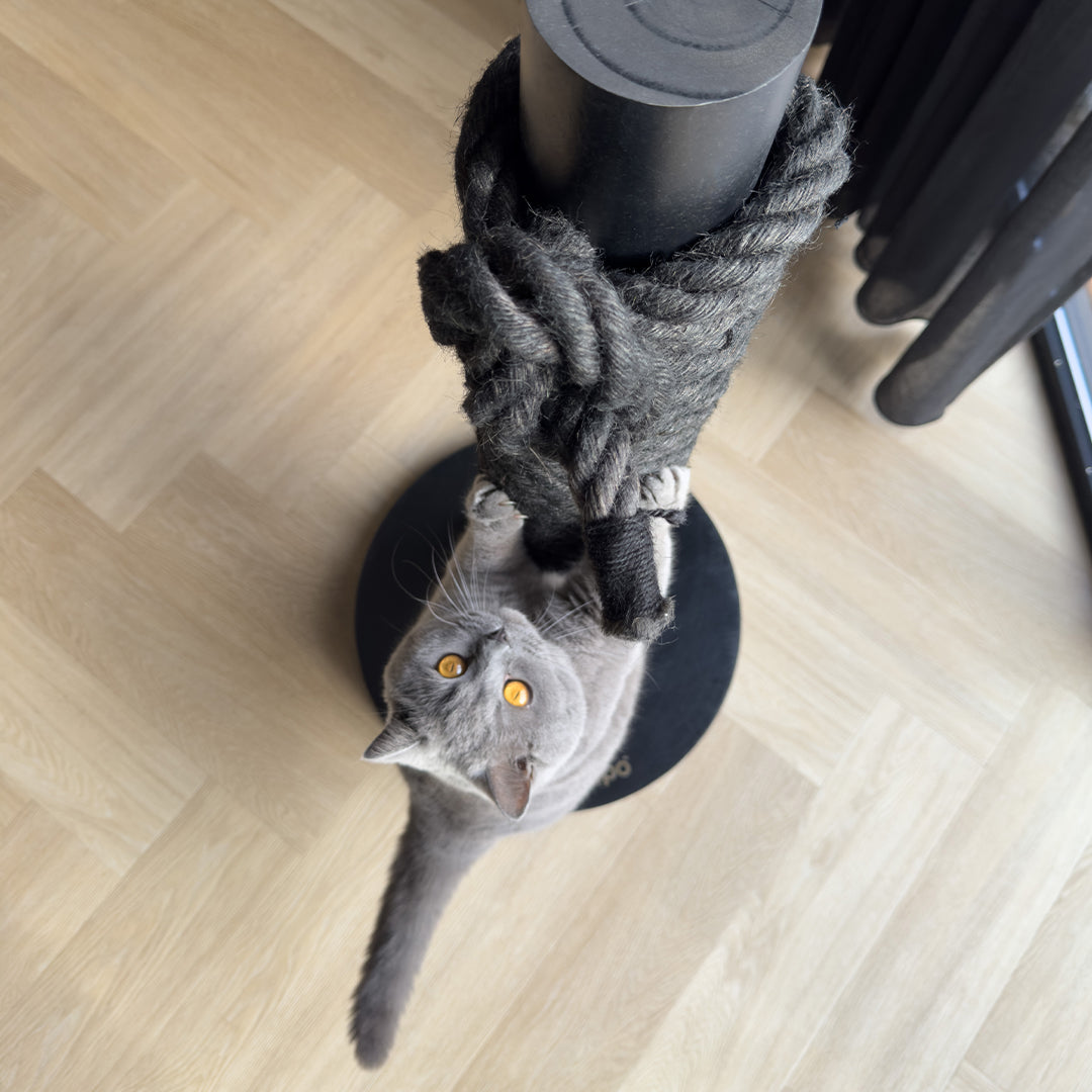 Totem