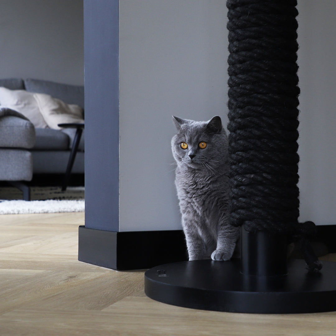 Totem