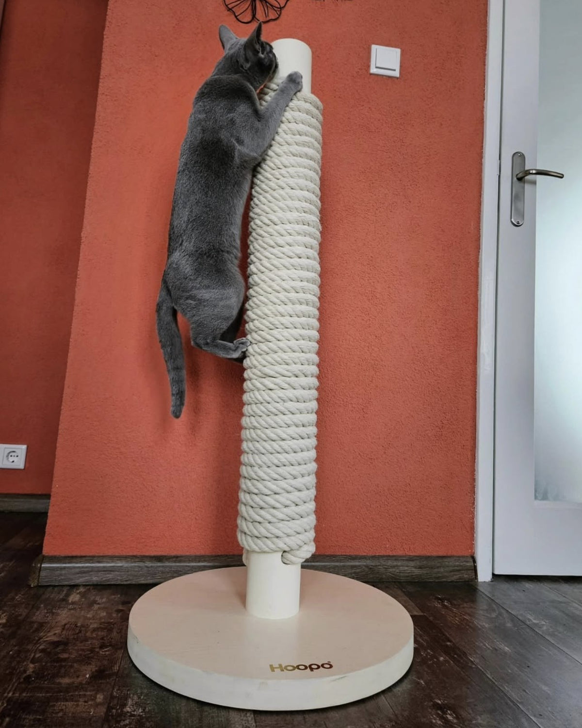 @cattery.de.beetse