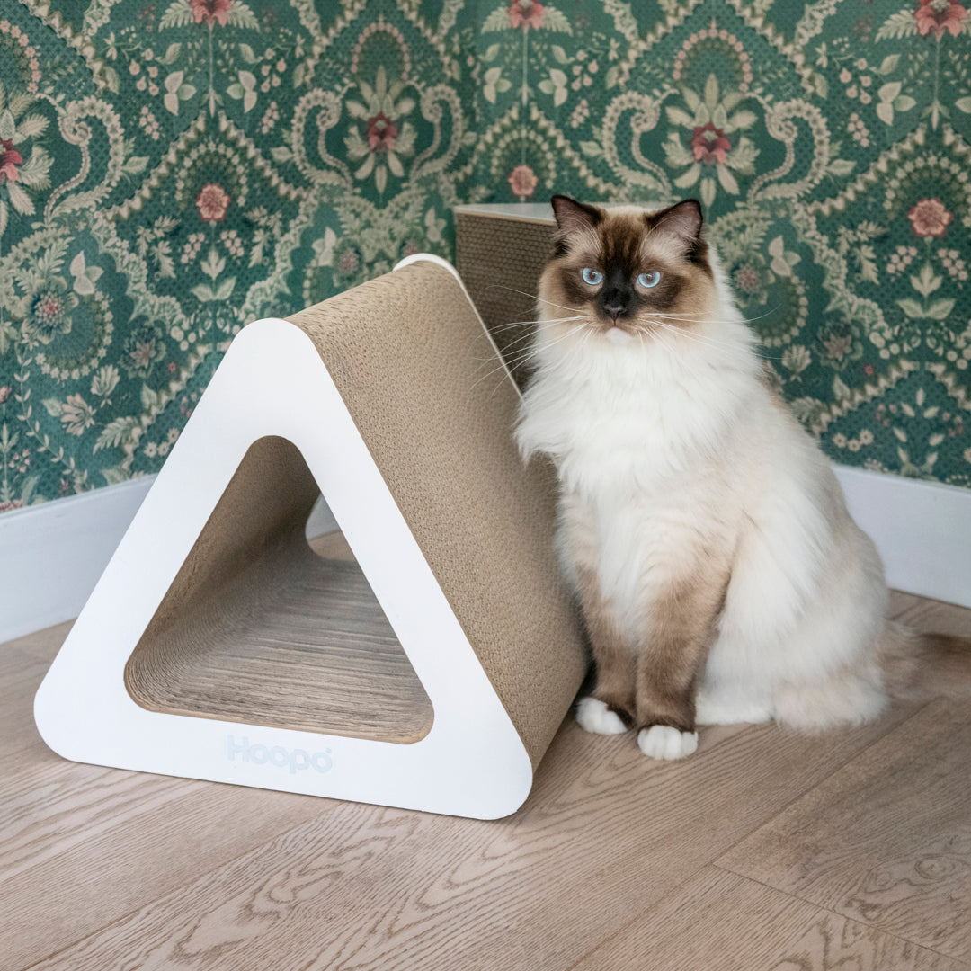 Triangle