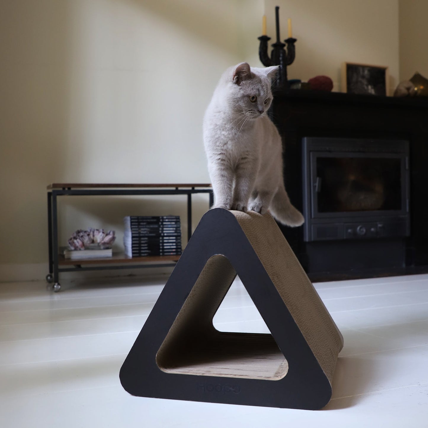 Triangle variant image