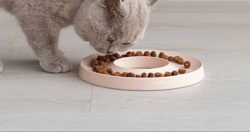 Kat eet uit een Hoopo Ring eetbak
