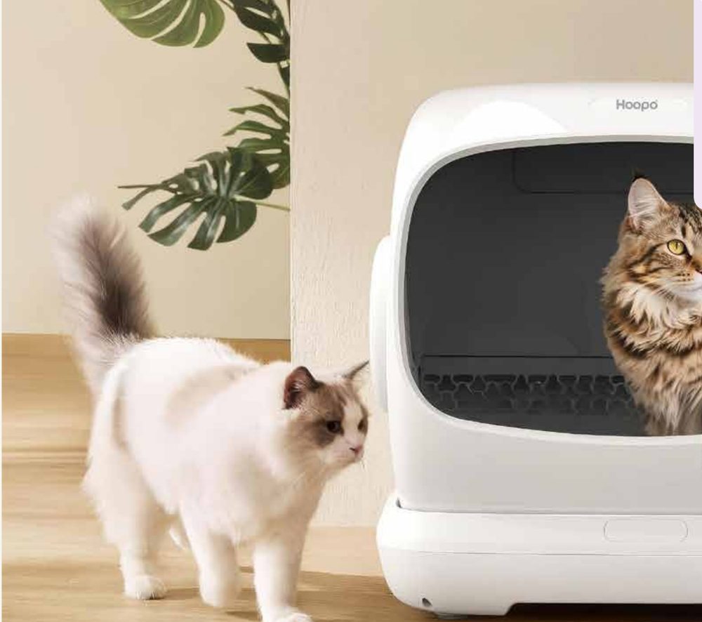 Twee katten bij een Hoopo Magna XL kattenbak